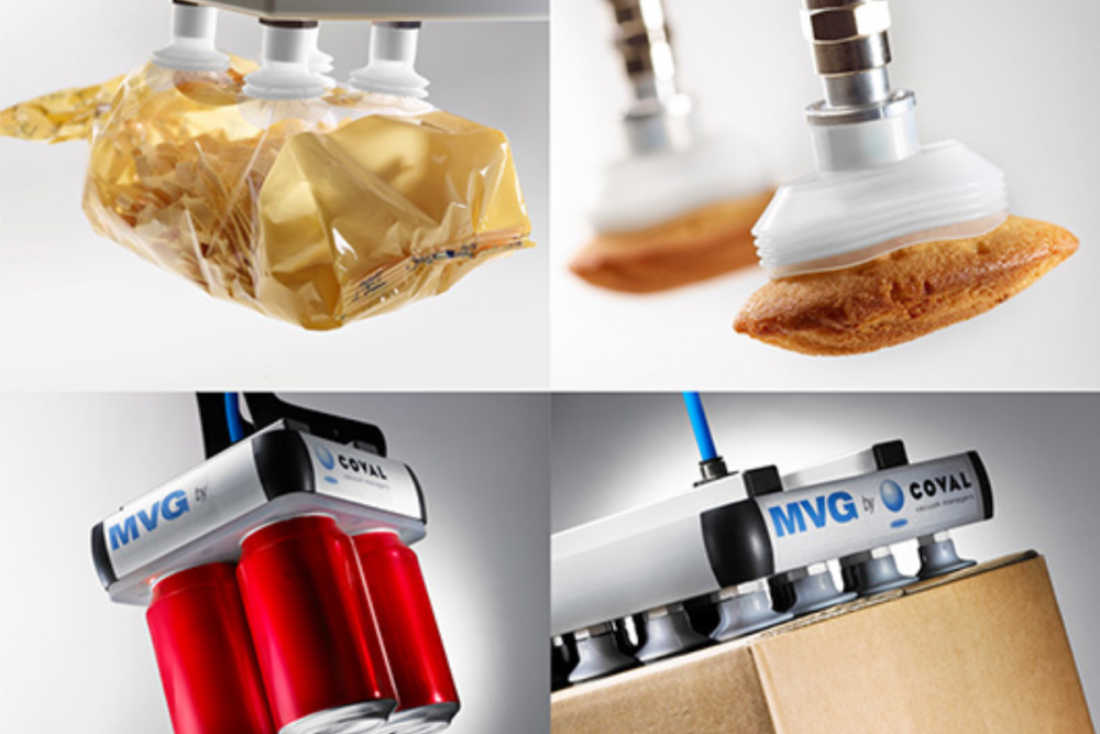 case-packing-image